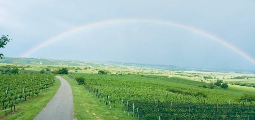 b29b5ab4-8d9a-4d2a-9dc1-0b34a544b7ff